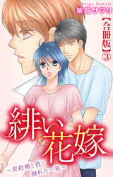 緋い花嫁～契約婚と彼と拗れた一族～【合冊版】3
