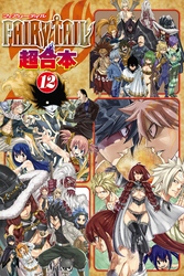 ＦＡＩＲＹ　ＴＡＩＬ　超合本版（１２）