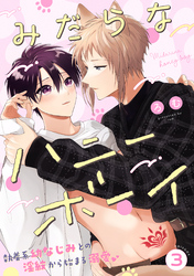 みだらなハニーボーイ 分冊版 3